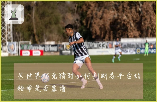 买世界杯竞猜时如何判断各平台的赔率是否靠谱