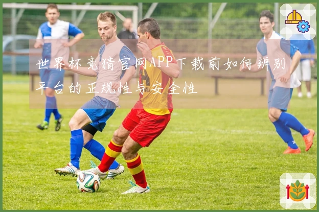 世界杯竞猜官网APP下载前如何辨别平台的正规性与安全性