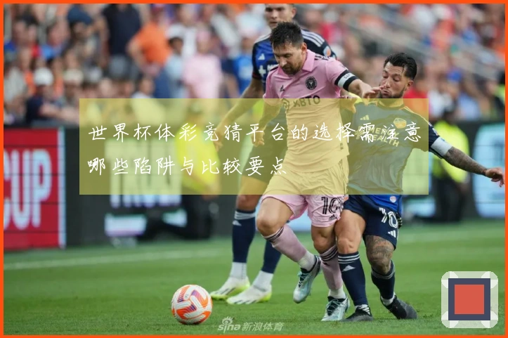 世界杯体彩竞猜平台的选择需注意哪些陷阱与比较要点