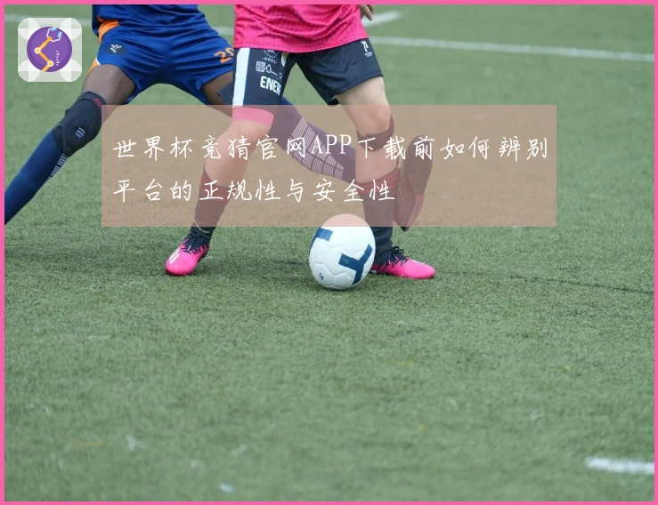 世界杯竞猜官网APP下载前如何辨别平台的正规性与安全性